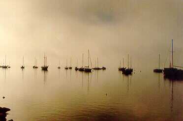 fog