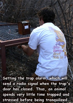 trap_alarm