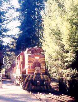 skunk train