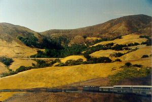 train